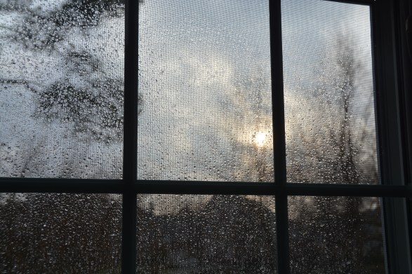 rainy-window-2-15-2014-4-47-19-pm